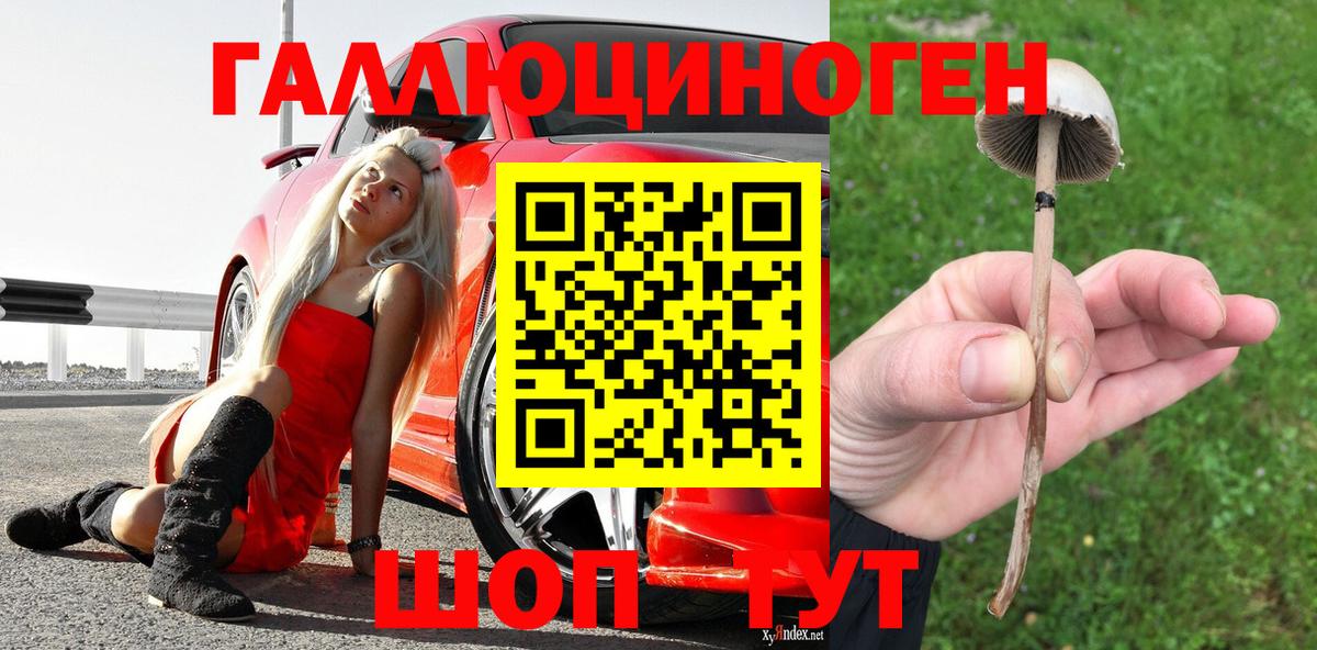 Галлюциногенные грибы мицелий Реж